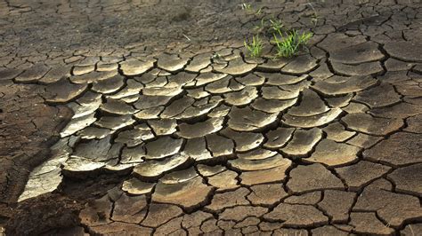 La sequía reduce el río Amazonas a sus niveles mínimos