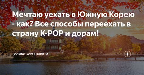 Мечтаю уехать в Южную Корею как Все способы переехать в страну K POP