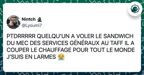 Les Meilleurs Tweets De La Jeunesse Twog