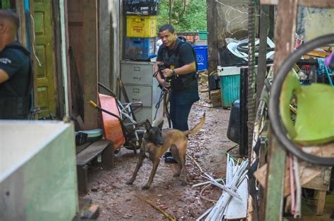 Polícia Civil identifica responsáveis por furto e receptação de fiação