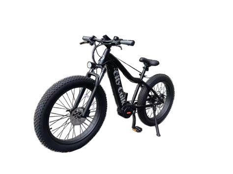 26 Inch Fat Tire 7 Speed Shimano Bafang MID Drive Motor Electric Bike