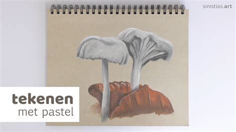 Drawing With Pastel Toadstool Tekenen Met Pastelkrijt Paddenstoel