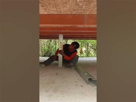 Shorts Short Shorts Hot Pants