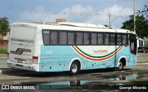 TBS Travel Bus Service Transnacional Fretamento 07250 em Jaboatão