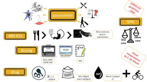 ESPEN Guideline On Clinical Nutrition In The Intensive Care Unit