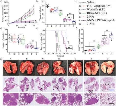 Synergistic Antitnbc Immunity In The T Orthotopic Tumor Model A