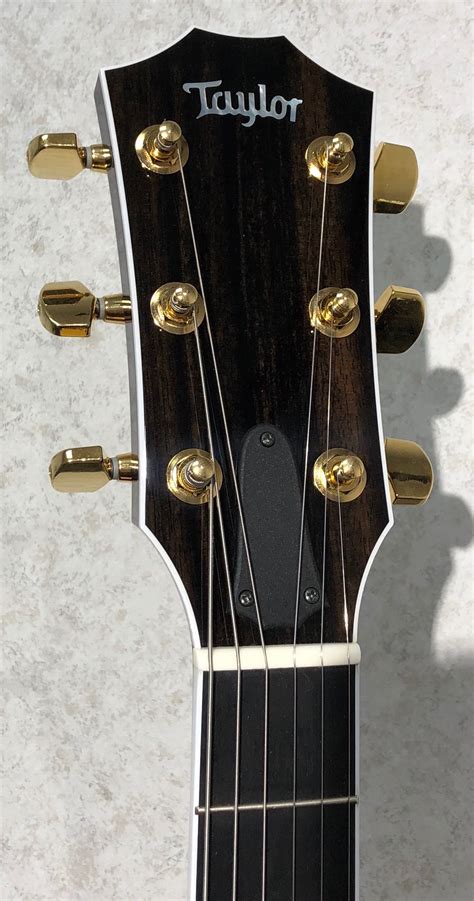 Taylor Guitars T5 Custom Koa Headstock Legacy Music