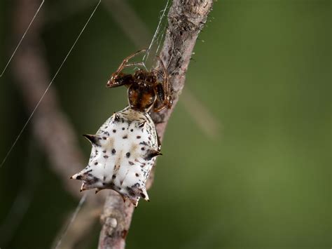 Best Worcester MA Images On Pholder Worcester MA Piercing And Abandoned Porn