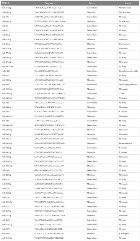 Frontiers Non Coding Rnas Targeting Nf κb Pathways In Aquatic Animals