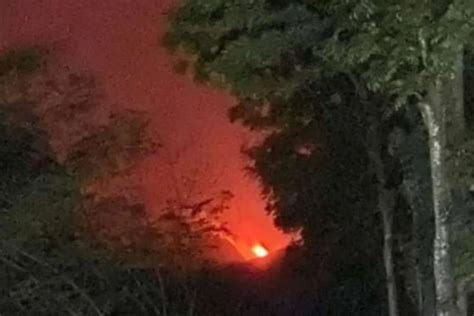 Kawasan Hutan Pegunungan Argopuro Jember Terbakar