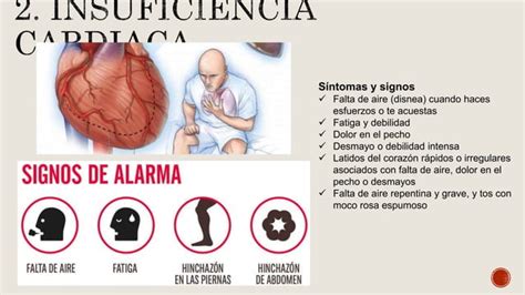 Enfermedades Del Sistema Digestivo Por Patricia Lalangui Ppt