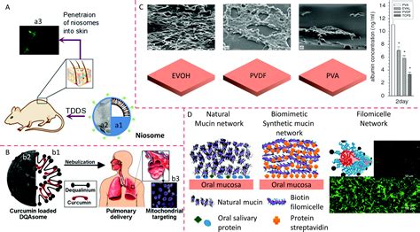 Soft Materials As Biological And Artificial Membranes Chemical