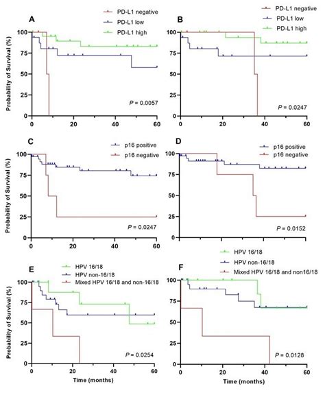 Five Year Disease Free Dfs And Overall Survival Os Of Patients With Download Scientific