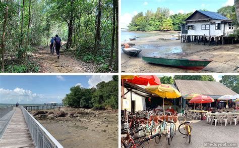 Pulau Ubin Guide: All You Need To Know About Visiting The Rustic Island ...