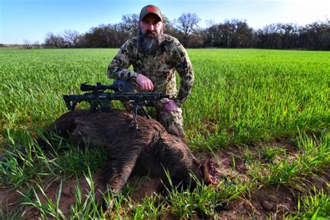 Oklahoma Hog Hunt Western Oklahmoma Trophy Outfitters