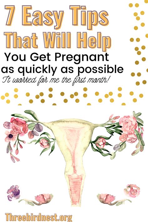 7 Tips For Getting Pregnant Faster Artofit