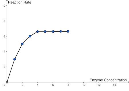 Rate Of Reaction Concentration Of Enzyme And Coenzyme