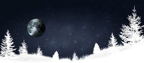 Snowy Country Christmas Trees Stock Illustration - Download Image Now ...