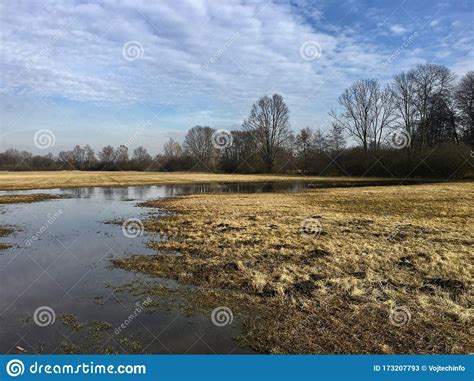 Flooded Grassland Plains In Early Spring High Water Level Yellow Grass