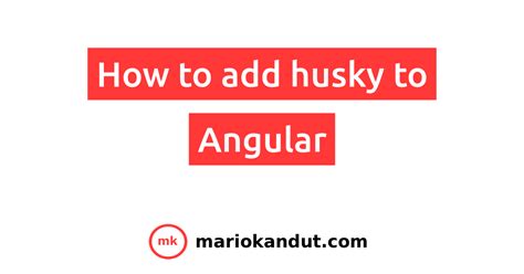 How to add husky to Angular