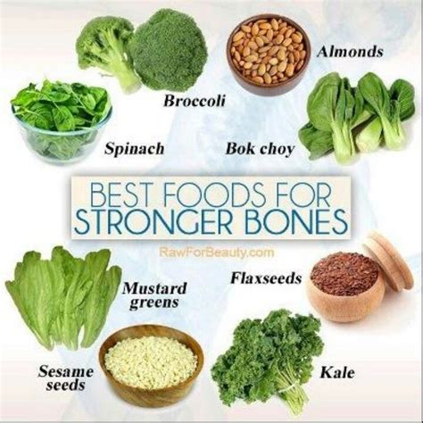 23 best images about Bones on Pinterest | Bone health, Aging population ...