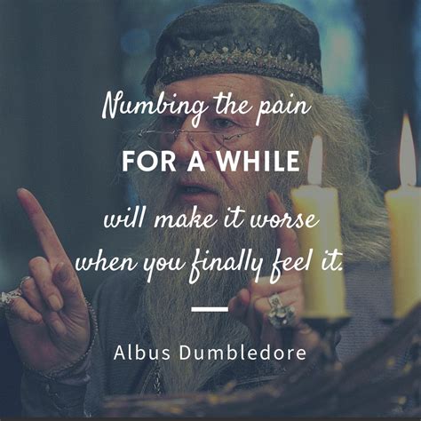 Dumbledore Quotes | Text & Image Quotes | QuoteReel