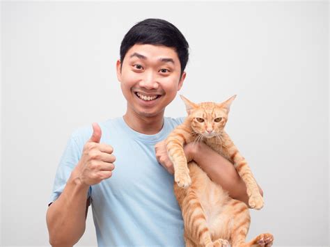 joven sosteniendo un gato encantador doméstico que se siente feliz y