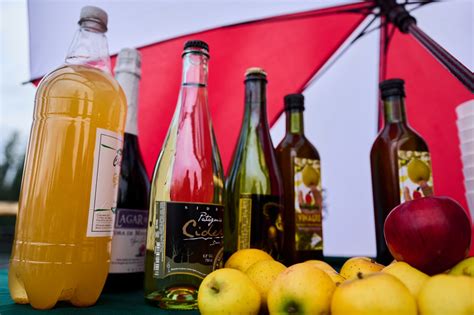 Fiesta De La Manzana Y La Sidra En Valdivia Contar Con Expositores