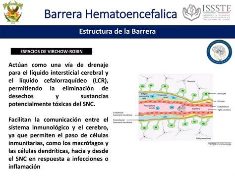 Barrera Hematoencefalica Ppt