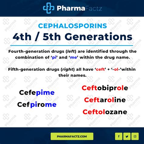 Cephalosporins Pharmacology | All the Facts in One Place!