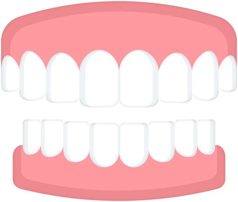 Teeth transparent background 14033645 PNG