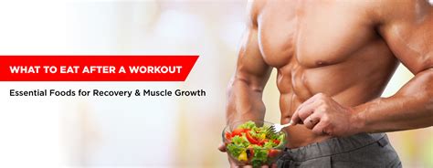 What To Eat After Workout Essential Foods For Recovery And Muscle Gro