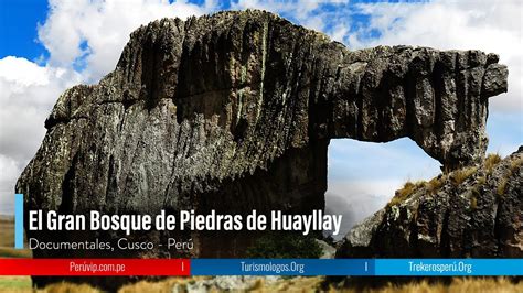 El Mejor Documental EL ULTIMO BOSQUE DE PIEDRAS EN PERU HUAYLLAY