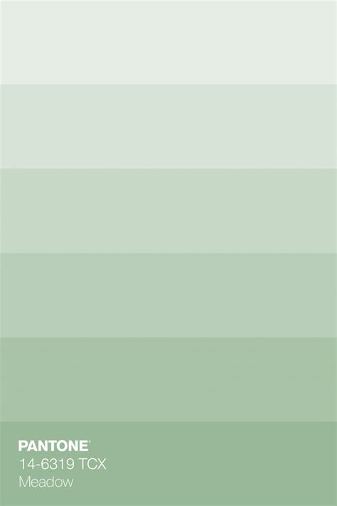 Pantone 14 6319 Tcx Meadow · Color · Palette Collection