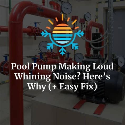 Soothing the Hum: Easy Fixes for Pool Pump Sounds