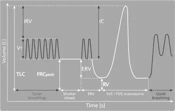 plethysmography    application   perform healthy