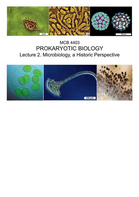 Pdf Lecture Microbiology A Historic Perspective Dokumen Tips