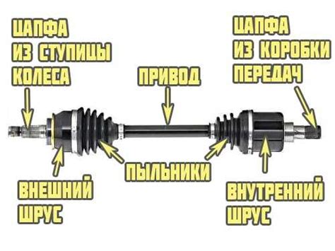 Левый передний наружный шрус – Шрус наружный и внутренний