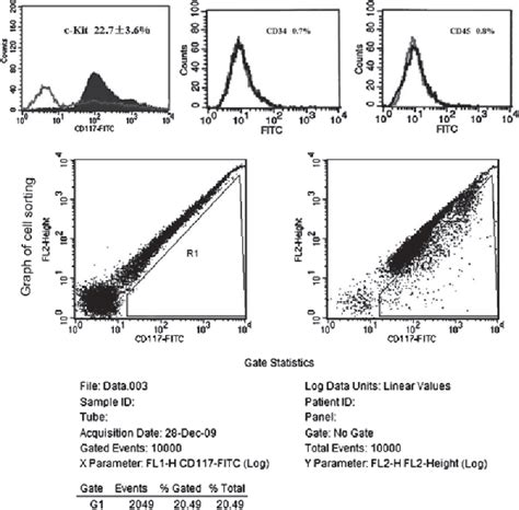 Figure 1 From Angiotensin II Promotes Differentiation Of Mouse C Kit