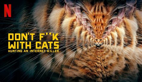 Don T Fuck With Cats On Netflix Review Disturbing Yet Intriguing Just For Movie Freaks