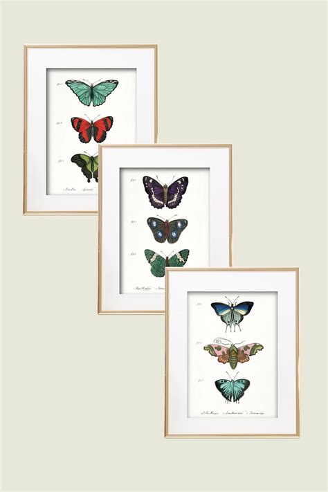 Free Vintage Butterfly Wall Art Printables Hearts Content Farmhouse