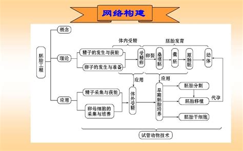 2014届高考生物一轮复习选修3专题3胚胎工程word文档在线阅读与下载无忧文档