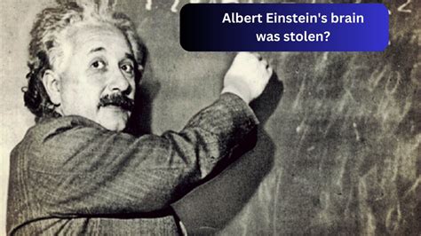 Albert Einstein S Brain Was Stolen Youtube