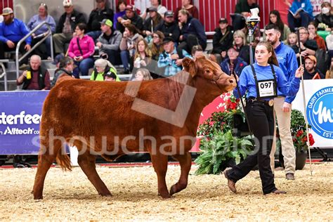 Hot Shots Image 9Kiu7WKVjdHjTMAoYu8YPh