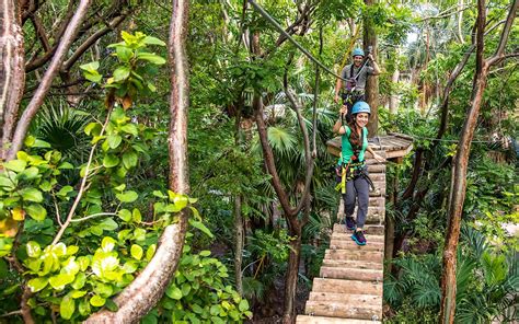 Treetop Trekking Miami Greater Miami Miami Beach