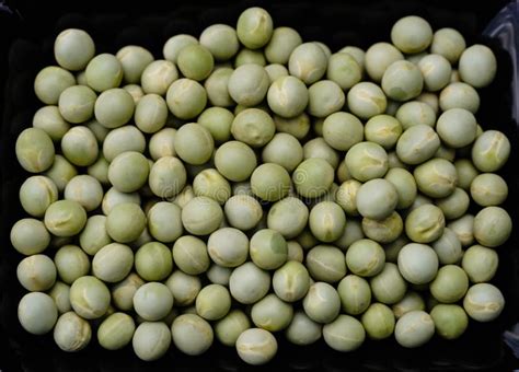 Peas Pisum Sativum Stock Image Image Of Kitchen Dried 250602659