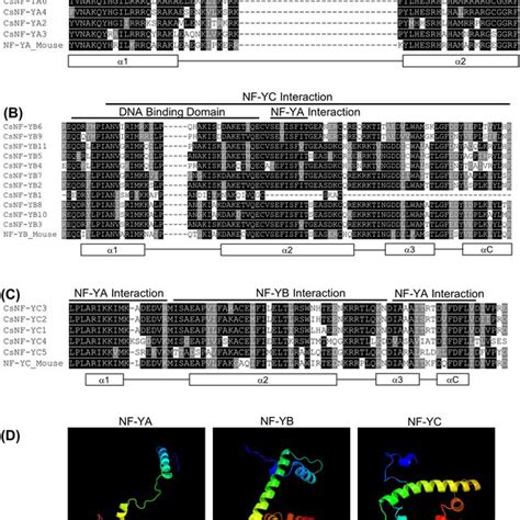 Multiple alignments and predicted structure of conserved regions of ...