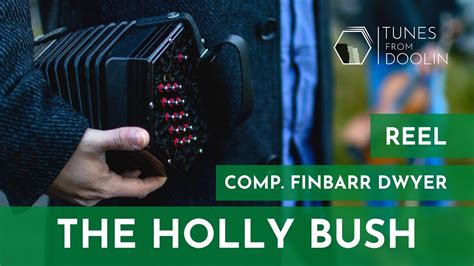 The Holly Bush Reel Comp Finbarr Dwyer Irish Music Tunes On