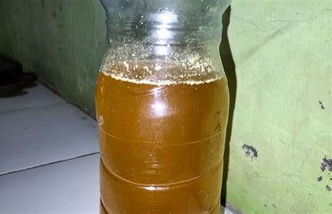 Eco Enzyme Cara Mudah Cepat Dan Hemat Pengolahan Sampah Dapur