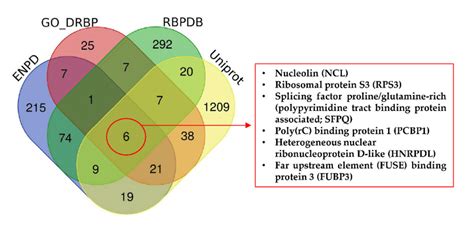 Cross-search analysis of DNA/RNA binding proteins in selected ...